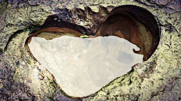 Bir kayaya kalp şeklinde bir oyma.