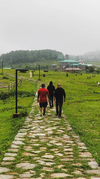 Doğada bir sabah yürüyüşü.