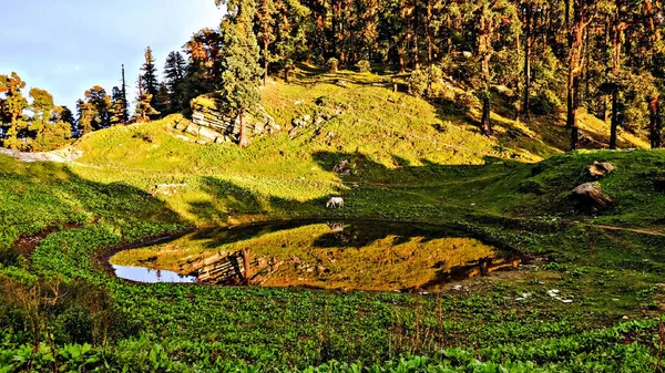 Kamp alanında güneşli bir gün