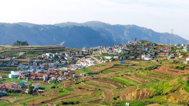 Üvey çiftçilikle dolu bir ev topluluğu.