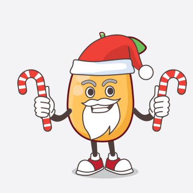 Noel Baba kostümlü ve şekerli Kumquat Fruit karakteri.