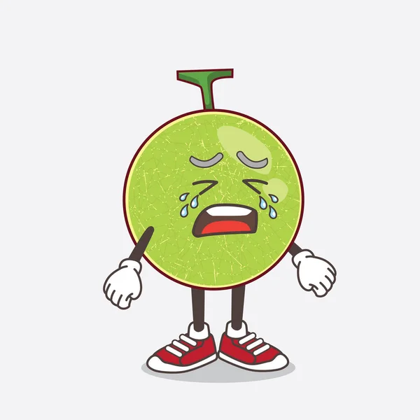Une Illustration Cantaloup Melon Personnage Mascotte Dessin Animé Avec Expression — Image vectorielle