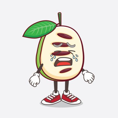 Ağlayan ifadeli Pawpaw Fruit çizgi film maskotu karakteri.