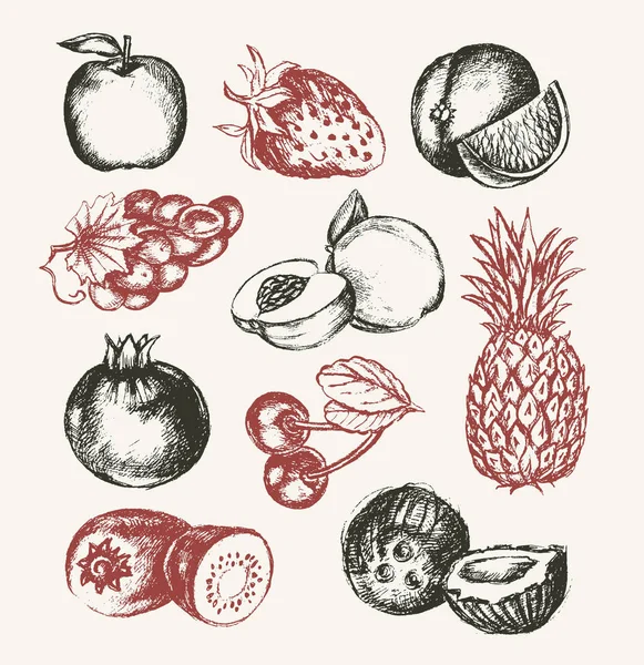 Frutas - vetor moderno desenhado à mão conjunto ilustrativo . —  Vetores de Stock