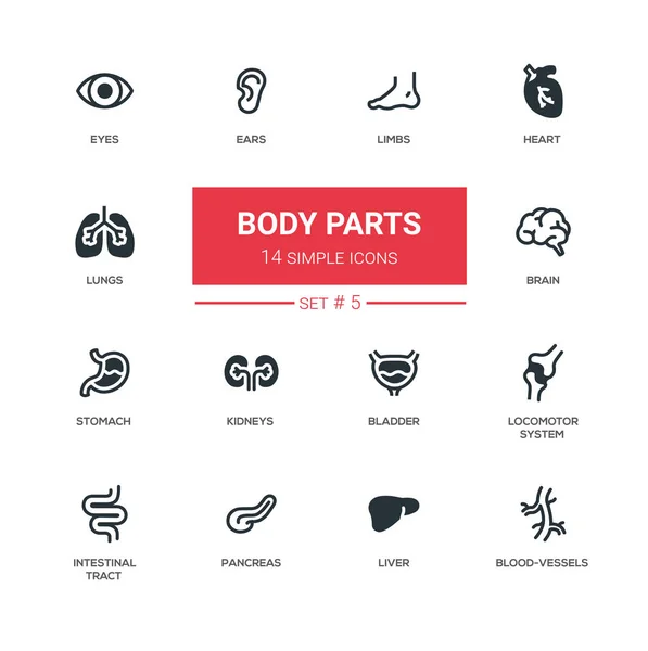 Partes do corpo - Modernos ícones de design de linha fina simples, conjunto de pictogramas —  Vetores de Stock