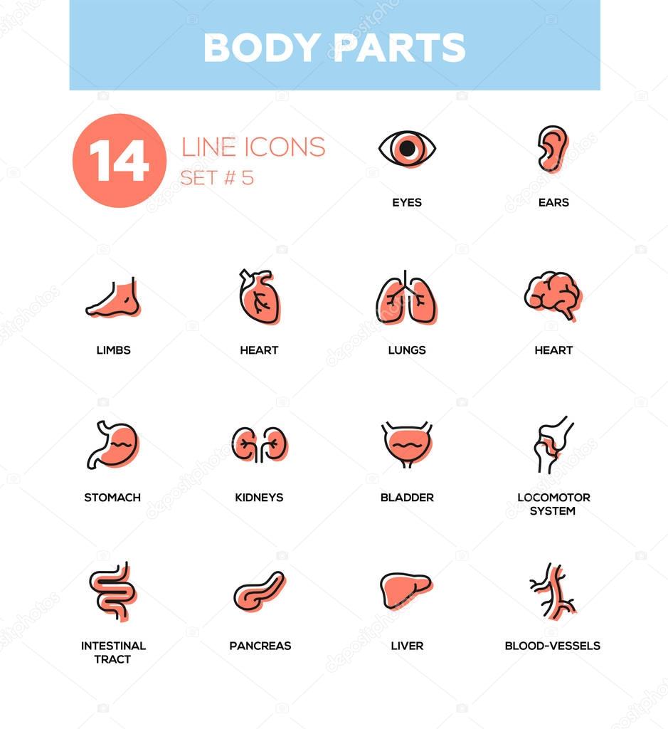 Body parts - Modern simple thin line design icons, pictograms set