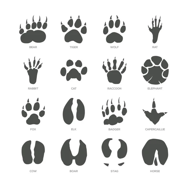 Animal trails - modern isolated vector set — Stock Vector