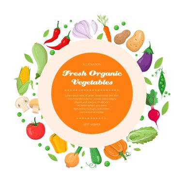 Taze organik sebze - modern renkli vektör çizim