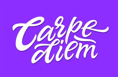 Carpe Diem - harfler illüstrasyon vektör el çizilen fırça kalem