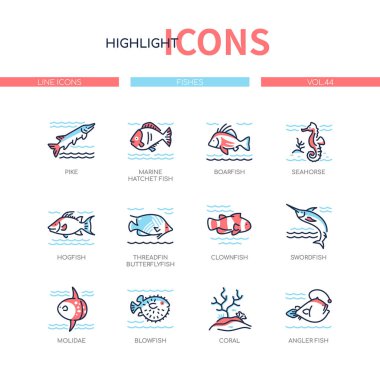 Fish species - modern line design style icons set clipart