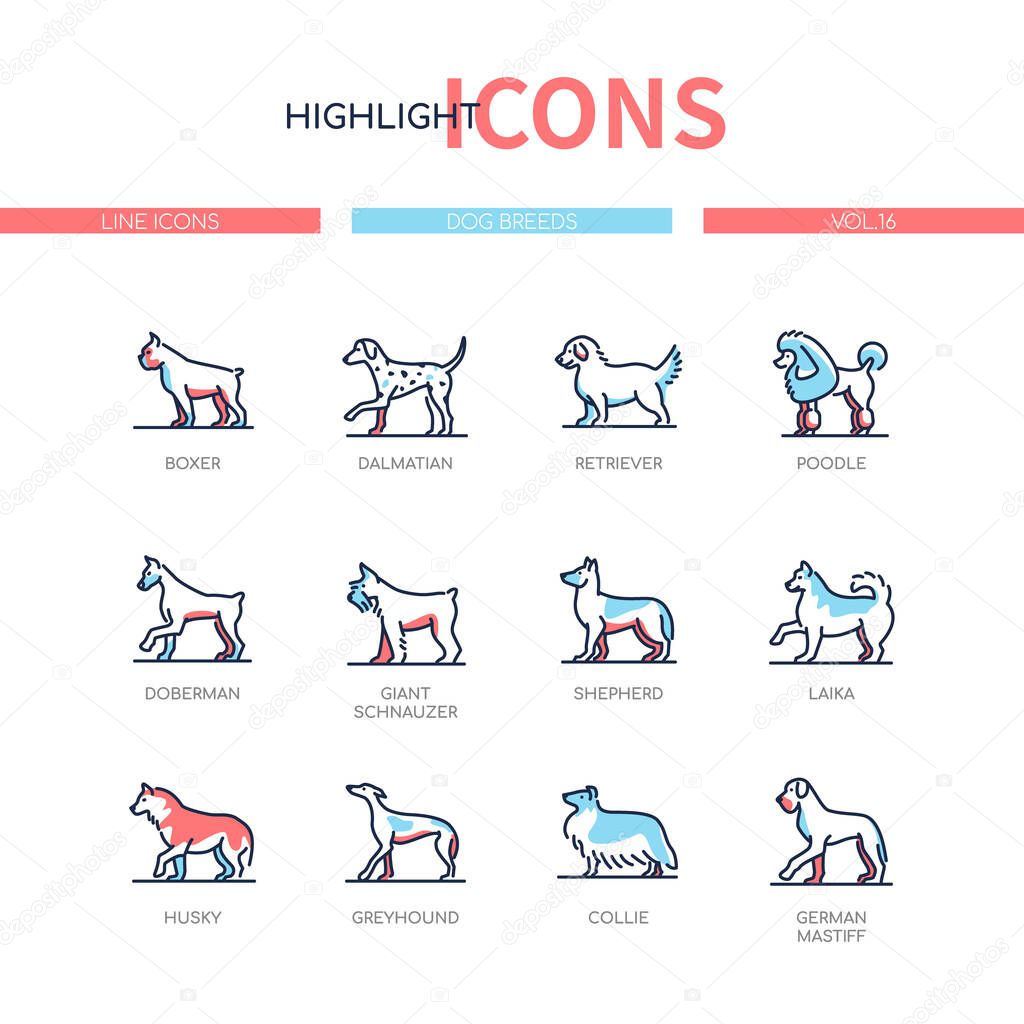 Dog breeds - modern line design style icons set