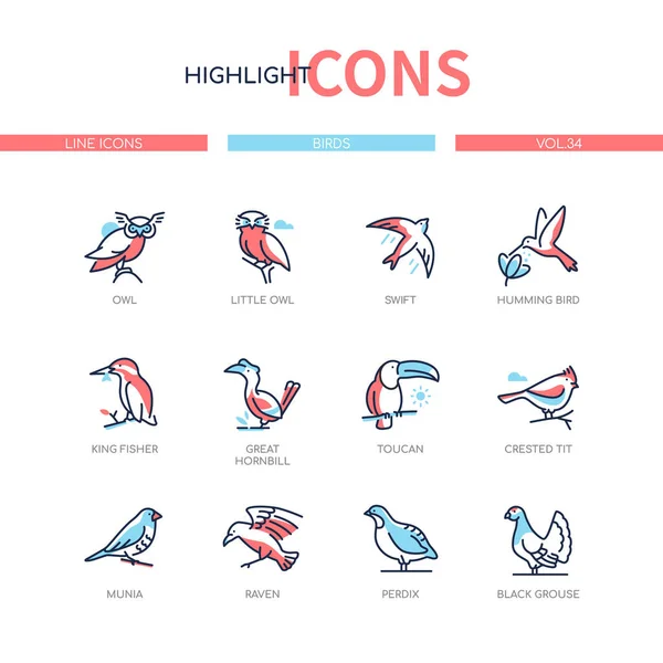 Especies de aves - conjunto de iconos de diseño de línea moderna — Archivo Imágenes Vectoriales