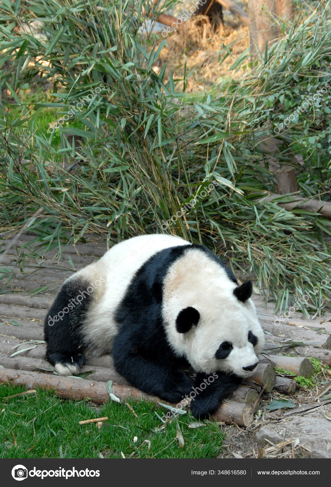 What is a breeder reserve