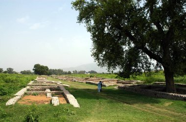 Sirkap, Punjab, Pakistan. Sirkap antik bir arkeolojik alan ve antik Taxila şehrinin bir parçasıdır. Taxila, UNESCO tarafından tanınıyor. Sirkap, Taxila, Pakistan 'daki Antik Sirkap sokakları.