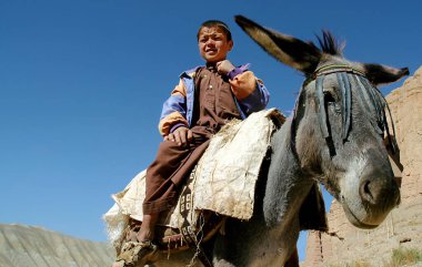 Orta Afganistan 'da Bamyan (Bamiyan). Genç bir çocuk Bamyan (Bamiyan), Afganistan 'da uçurumun kenarındaki bir eşekle biniyor. Bir çocuk eşeğin üzerinde oturuyor. Afgan çocuk, çocuk, eşek, Afganistan
