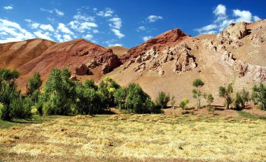 Bamyan 'daki Yakawlang (Bamiyan) yakınlarında Afganistan' ın dağ manzarası. Bu renkli dağlar Orta Afganistan 'daki Hindu Kush dağ sırasının batı ucundadır. Tarla ve ağaçlar.