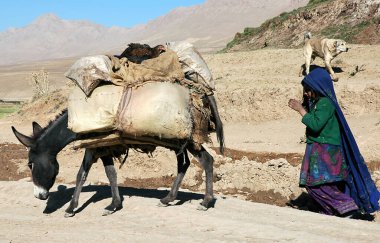 Ghor Eyaleti, Afganistan 'daki Chaghcharan. Orta Afganistan 'ın ücra bir köşesinde, Chaghcharan yakınlarında tozlu bir pistte dolu bir eşekle yürüyen bir kız. Eşek tavuk taşıyor..