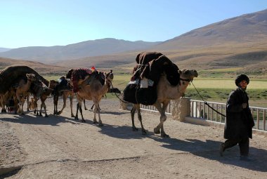 Ghor Eyaleti, Afganistan 'daki Chaghcharan. Sarıklı ve sakallı bir adam Orta Afganistan 'daki Chaghcharan kasabasının yakınındaki bir deve trenine liderlik ediyor. Develer ağır yük taşıyor..