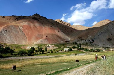 Afganistan 'ın Ghor Eyaleti' ndeki Chaghcharan ve Jam Minaresi arasında küçük bir köy: Orta Afganistan 'ın ücra bir köşesinde evleri olan bir çiftlik yerleşimi. Hayvanlarıyla bir çiftçi.