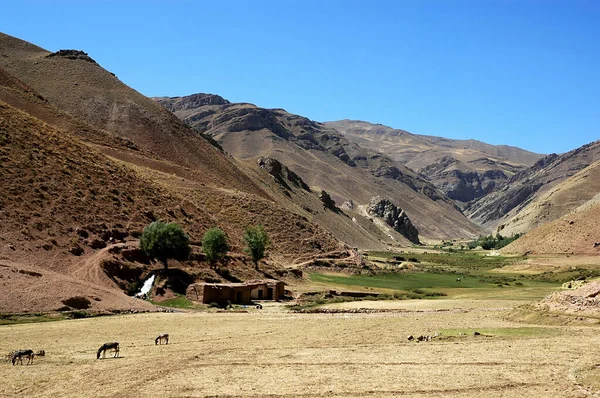 Egy Farm Jam Minaret Közelében Ghor Tartományban Afganisztánban Ház Közép — Stock Fotó