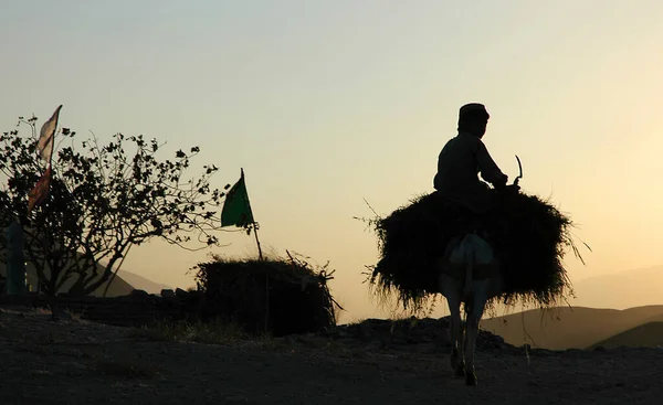 Mellan Chisht Sharif Och Herat Provinsen Herat Afghanistan Silhuett Pojke — Stockfoto