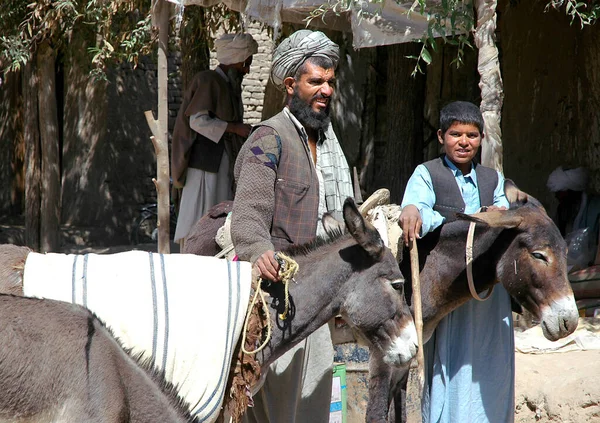 阿富汗巴德吉斯省Bala Murghab附近的村庄 在阿富汗西部一个非常偏远的地方 两名阿富汗男子骑着驴子站在街上 — 图库照片