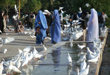 Balkh Eyaleti, Afganistan 'daki Mazar-i-Şerif. Mazar i Sharif 'teki Mavi Cami' nin dışındaki insanlar ve kuşlar. Cami beyaz güvercinleri veya güvercinleriyle ünlüdür. Kuzey Afganistan.