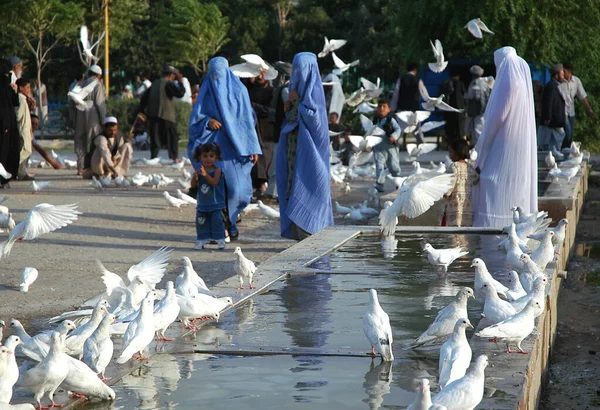 Balkh Eyaleti, Afganistan 'daki Mazar-i-Şerif. Mazar i Sharif 'teki Mavi Cami' nin dışındaki insanlar ve kuşlar. Cami beyaz güvercinleri veya güvercinleriyle ünlüdür. Kuzey Afganistan.