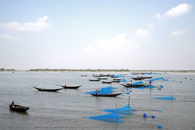 Bangladeş 'teki Moğol yakınlarındaki Pashur Nehri. Güney Bangladeş 'teki Sundarban Ormanı ve Khulna arasında Pashur Nehri' nde ağlı balıkçı tekneleri. Bangladeş 'te ağlarla balık tutmak.