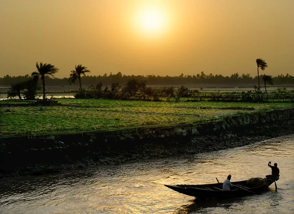 Pôr Sol Sobre Delta Ganges Bangladesh Pequeno Barco Sendo Remado — Fotografia de Stock