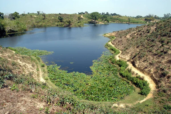 Μια Λίμνη Λωτού Μια Φυτεία Τσαγιού Στο Srimangal Sreemangal Στο — Φωτογραφία Αρχείου