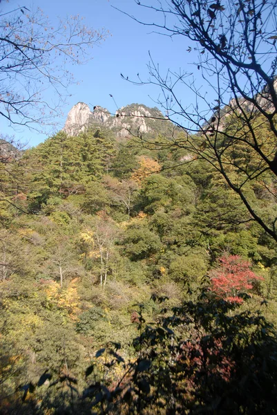 Βουνό Huangshan Στην Επαρχία Anhui Της Κίνας Άποψη Βράχων Και — Φωτογραφία Αρχείου