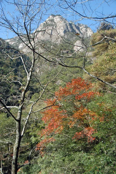 Huangshan Mountain Anhuin Maakunnassa Kiinassa Kauniit Vuoristomaisemat Itäportailta Katsottuna Huangshan — kuvapankkivalokuva