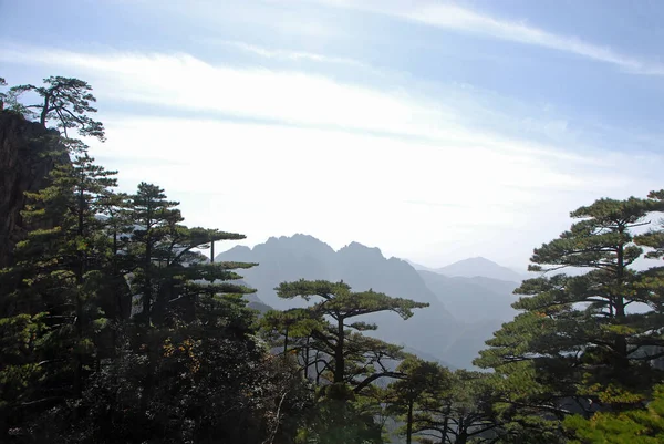 Гора Хуаншань Провінції Аньхой Китай Сценічна Панорама Дивиться Соснові Дерева — стокове фото