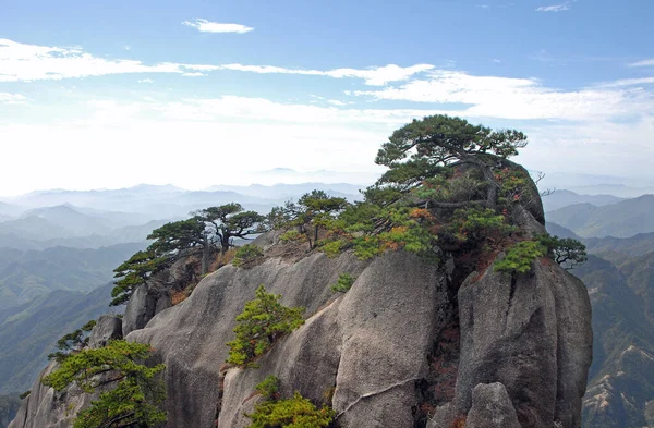 Huangshan Dağı, Anhui Eyaleti, Çin. Huangshan 'ın en yüksek noktası olan Lotus Tepesi yolunda çam ağaçları tarafından aşılmış kayalık manzarası. Huangshan Dağı manzaralı, Çin.