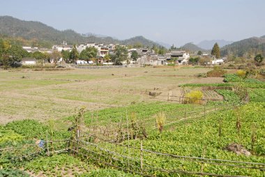 Çin 'in Anhui eyaletindeki Xidi Antik Kasabası. Kasabanın kıyısındaki tarlalara bakıyorum. Eski kasabanın binaları arkada. Çin 'deki tarihi Xidi' nin mimarisi ve tarımı.