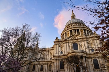Londra, İngiltere 'deki St. Paul Katedrali. St. Paul 'un akşam manzarası katedralin güneyinden çekildi. Ağaçlar tarafından çerçevelenmiş kubbenin görüntüsü.