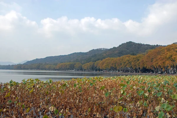 Δυτική Λίμνη Στο Hangzhou Επαρχία Zhejiang Κίνα Βόρεια Ακτή Της — Φωτογραφία Αρχείου