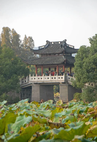 West Lake Hangzhou Provinsen Zhejiang Kina Yudai Bridge Med Liljor — Stockfoto