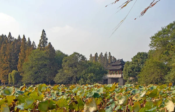 West Lake Hangzhou Provinsen Zhejiang Kina Yudai Bron West Lake — Stockfoto