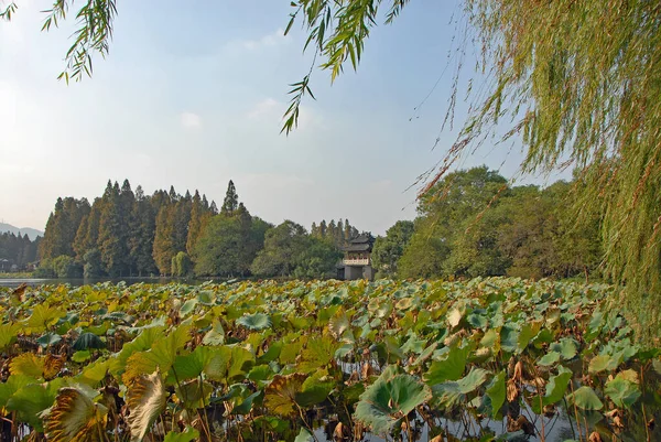 Δυτική Λίμνη Στο Hangzhou Επαρχία Zhejiang Κίνα Γέφυρα Yudai Στη — Φωτογραφία Αρχείου