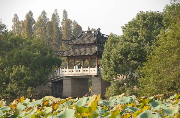 浙江省杭州的西湖 玉台桥上有百合花和树木 是杭州西湖的象征 西湖是中国杭州的一个联合国教科文组织旅游景点 — 图库照片