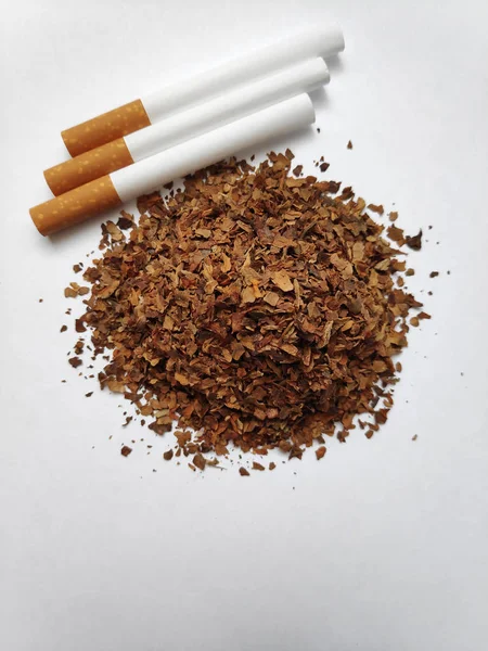 Bir demet tütün. Beyaz bir kağıtta.