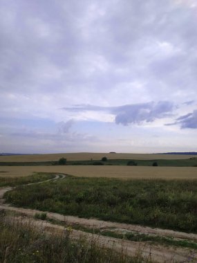 Yol tarlası. Bulutlu yaz günü.