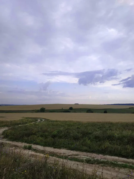 Yol tarlası. Bulutlu yaz günü.