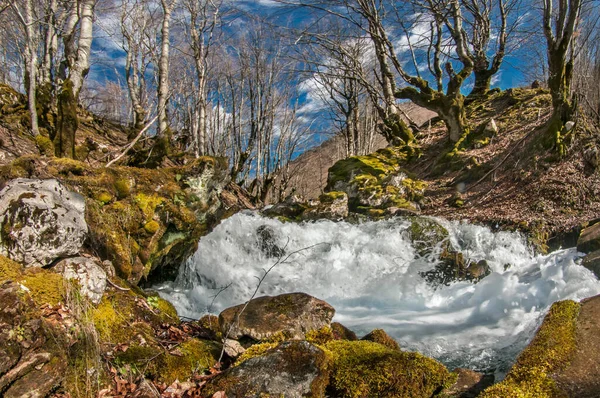 Быстрая Весенняя Река Балканах Бархатный Мох Покрывает Скалы Течет Поток — стоковое фото
