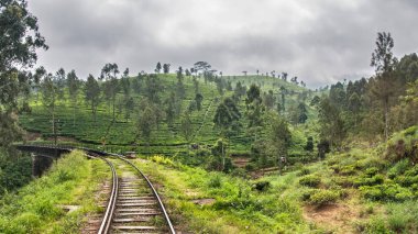 Sri Lanka dağlarında demiryolu. Dağ yamaçları orman ve çay yaprağı plantasyonlarıyla kaplıdır. Sri Lanca.