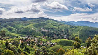 Sri Lanka 'nın dağlık kesiminin güzel manzarası. Dağların kadife yamaçları çay yaprağı çalılarıyla kaplıdır. Teraslı sebze bahçeleri görülebilir..
