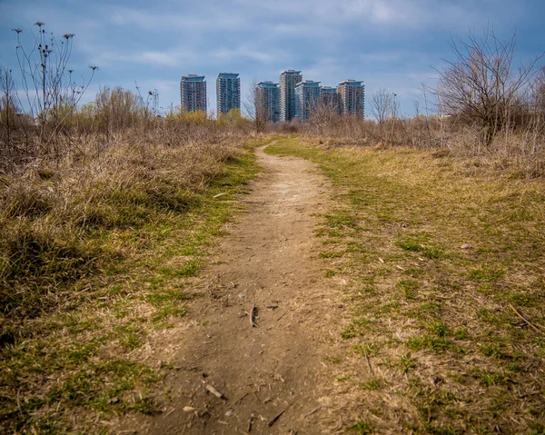 Natürliche Delta Zwischen Wohnblocks Mit Wolkenkratzern Hintergrund Bukarest Rumänien Naturpark — Stockfoto