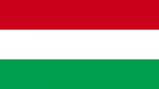 Коронавірус Національному Прапорі Угорщини — стокове відео